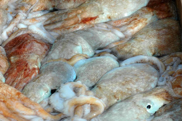 SantaMargheritaLigure188