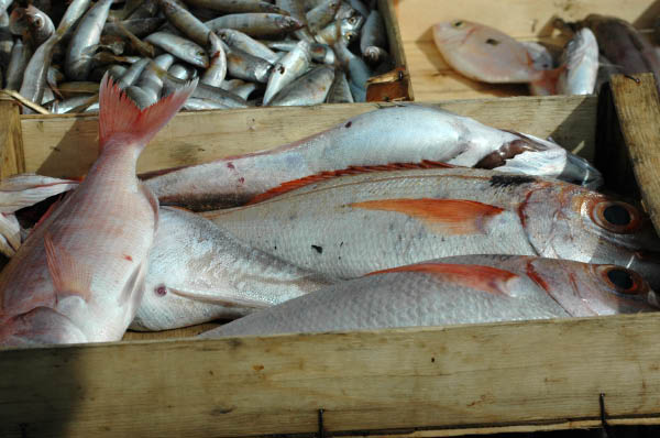 SantaMargheritaLigure195