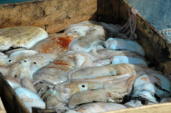 SantaMargheritaLigure196