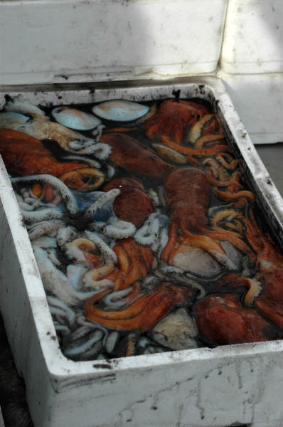 SantaMargheritaLigure204