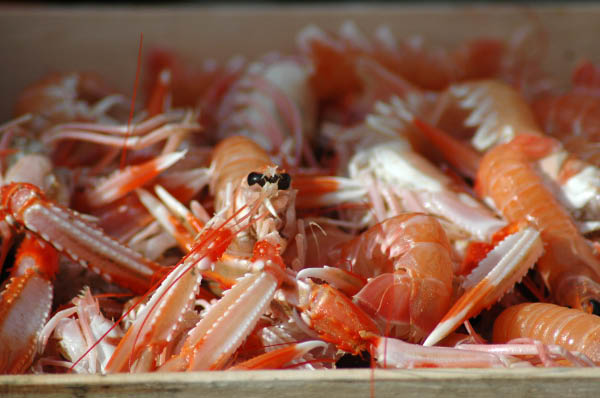 SantaMargheritaLigure206