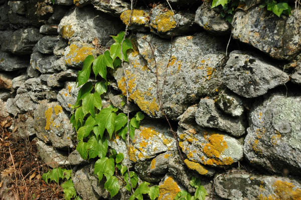 Wanderung_2_027