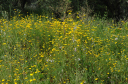 Wanderung_2_016
