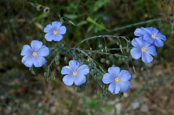 Wanderung_3_032