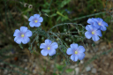 Wanderung_3_032
