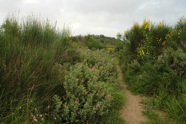 Wanderung_4_025