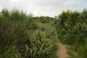Wanderung_4_025