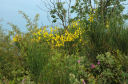 Wanderung_4_027