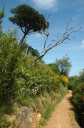 Wanderung_5_018