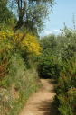 Wanderung_5_019