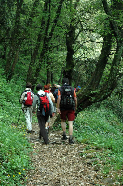 Wanderung_6_014