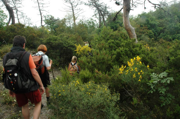 Wanderung_6_017