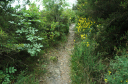 Wanderung_6_021