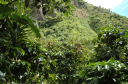 Atitlan See031