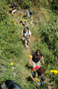 Atitlan See033