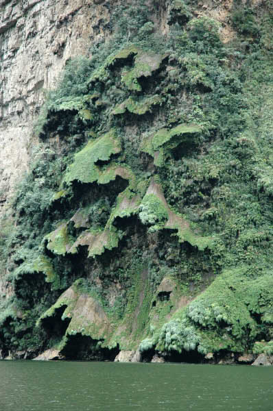Canyon del Sumidero019
