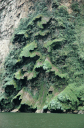 Canyon del Sumidero019