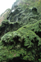 Canyon del Sumidero023