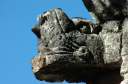 Chichen Itza037
