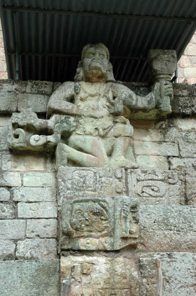 Copan008