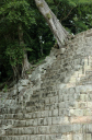 Copan010