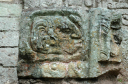 Copan011