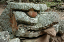 Copan014