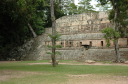 Copan015