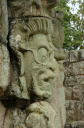 Copan021