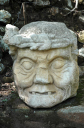 Copan028