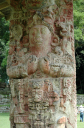 Copan049