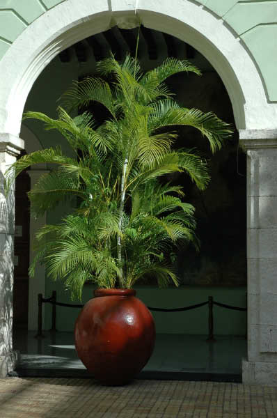 Merida016