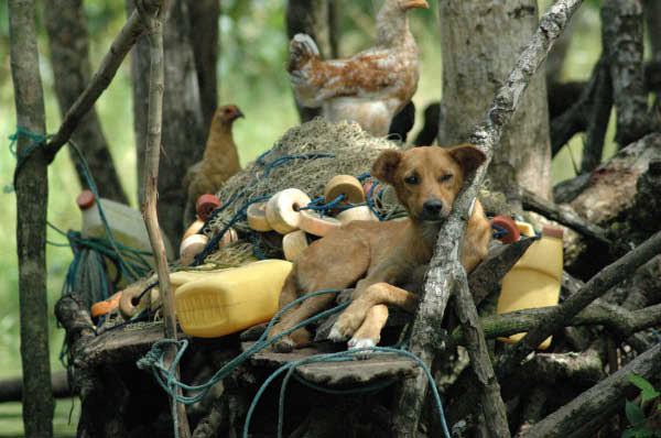 Rio Dulce040
