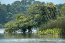 Rio Dulce029