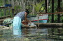 Rio Dulce045