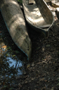 Rio Dulce065