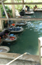 Rio Dulce099