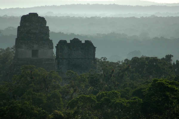 Tikal005