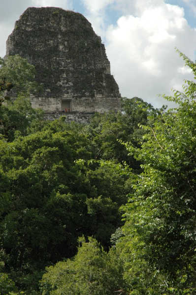 Tikal081