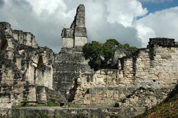 Tikal085