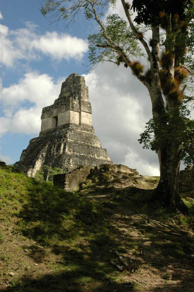 Tikal093