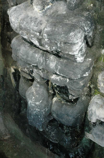 Tikal096