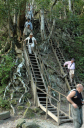 Tikal024