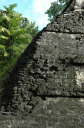 Tikal032