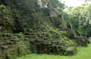 Tikal043
