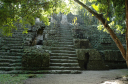 Tikal051