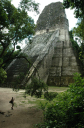 Tikal067