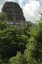 Tikal081