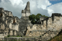 Tikal085
