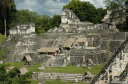 Tikal091